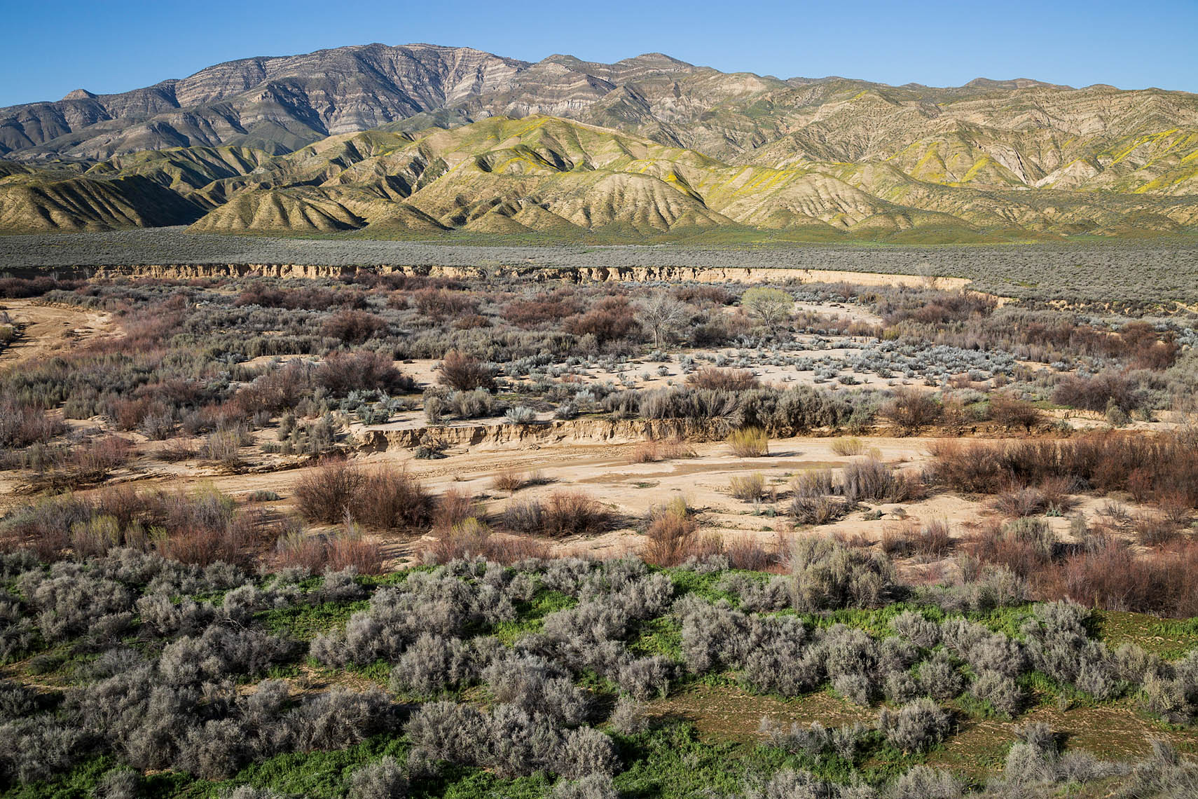 Cuyama River, NW Valley